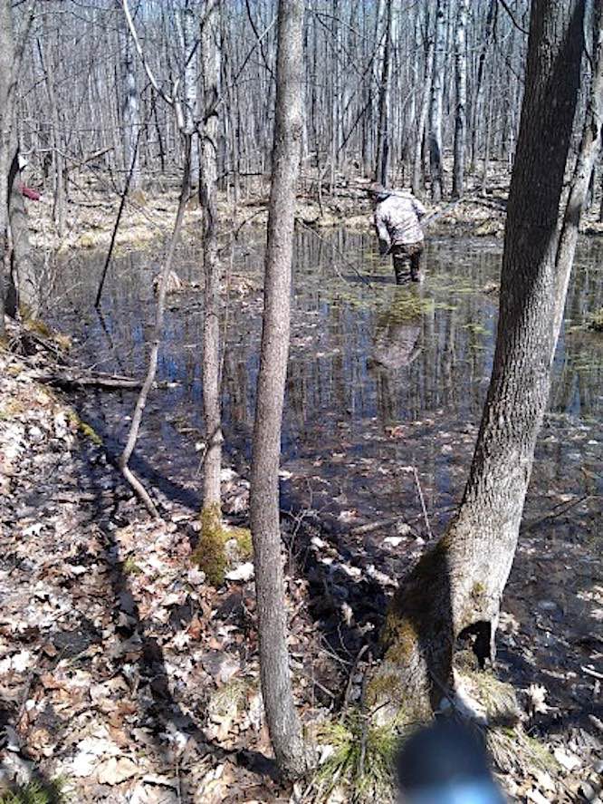 Vernal Pools A Natural Wonder West Bend News
