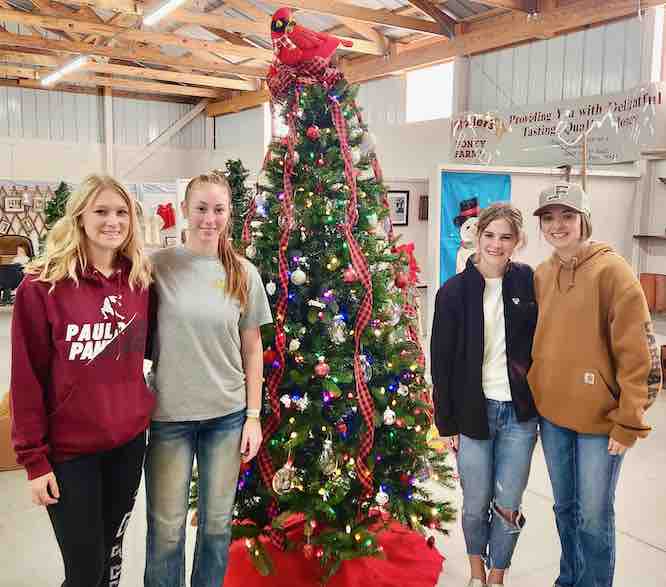 JPHS Annual ‘Festival of Trees’ opens Nov. 4 | West Bend News