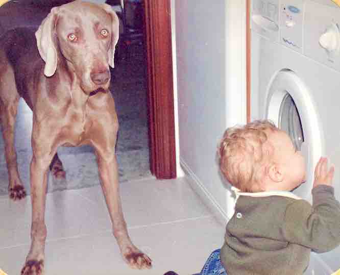 MATT’S MISHAPS West Bend News